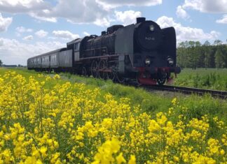 Wolsztyn pełną parą…