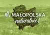 Najlepsze miejsce na weekend, lub urlop? Małopolska – naturalnie!