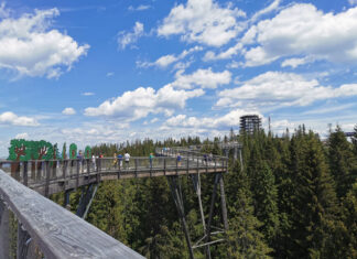 W koronach drzew – Bachledka