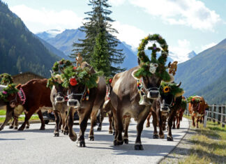 Przyjemna i urozmaicona jesień w dolinie Stubai