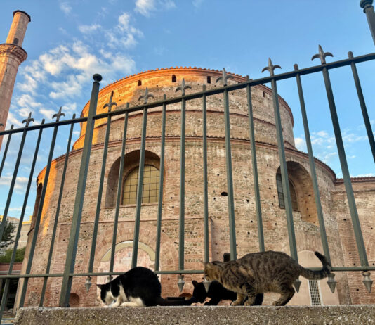 W cieniu Olimpu, w sercu Salonik. Sztuka macedońskiego kefi