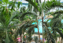 Tropiki pod Warszawą w wersji B2B. Jak Suntago zmienia zasady gry w turystyce grupowej?