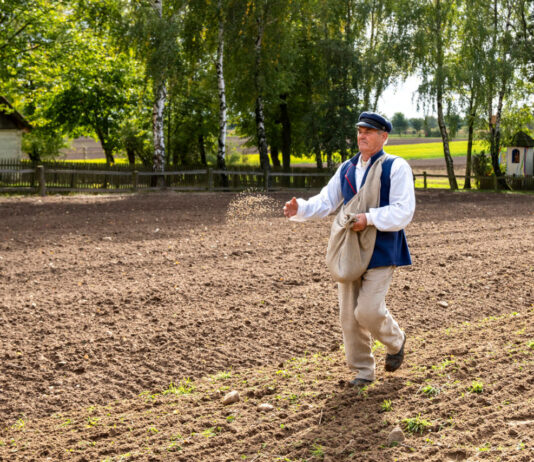 Jesień w skansenie po raz drugi. Tradycyjne prace, dawne rzemiosło i jesienny kiermasz w Muzeum Wsi Mazowieckiej w Sierpcu